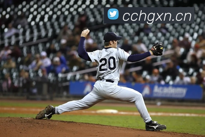 米兰app官方正版官网平台生态图