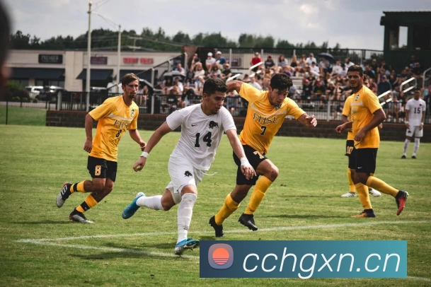 米兰app官方正版官网APP 封面图